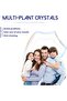 2 Pcs Toothache Sprays, Rapid Relieve Tooth Discomfort - 5