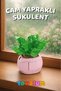 Florist Glass Leafy Succulent Building Block Flower Set (71 Pieces) - Haworthia Cooperi Plant Series