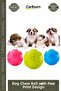 Special Edition Durable Rubber Educational Teething Interactive Sturdy Dog Bite Ball with Paw Pattern
