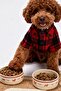 2-Piece Cat and Dog Food & Water Bowl Set Tphss26Ms00002 - 2