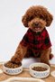 2-Pack Cat and Dog Food & Water Bowl Tphss26Ms00001 - 2