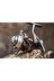 Nm10331130 Hiro Evolution 3000 Spin Machine 10+1 Bb - 2