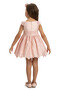 Baby Girl Special Occasion Dress with Flower Detail Bolero and Hair Accessory 6-12-18-24 Months 35371Pr - 6