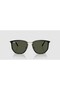 Unisex Glasses Rb4451-630631 - 6