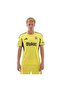 Kd7315-E Fenerbahçe 25-26 Away Men's Jersey Yellow