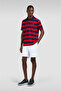 Men's Regular Cut Striped Logo Embroidered Cotton Short Sleeve Navy Blue-Red Polo Collar T-Shirt - 3