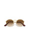 Rb3447-00151 Unisex Sunglasses - 4