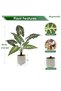 55cm Artificial Alocasia Tree Faux Plant with White Pot for Indoor Office Garden patio Home Decor - 8