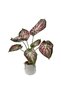 55cm Artificial Alocasia Tree Faux Plant with White Pot for Indoor Office Garden Patio Home Decor