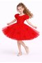 Girl's Rose Detailed Tulle Dress Princess Model 2 Pieces-1692K - 4
