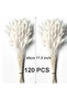 120PCS Bunny Tails Dried Flowers, Dried Rabbit Tail Grass Bouquet for Wedding Home Party Decor - 8