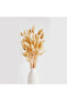 120PCS Bunny Tails Dried Flowers, Dried Rabbit Tail Grass Bouquet for Wedding Home Party Decor - 2