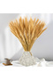 100 Stems 45cm Dried Wheat Flowers Natural Ear of Wheat Grain Flowers for Home, Wedding Decor