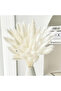 120PCS Bunny Tails Dried Flowers, Dried Rabbit Tail Grass Bouquet for Wedding Home Party Decor - 3