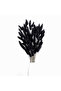 120PCS Bunny Tails Dried Flowers, Dried Rabbit Tail Grass Bouquet for Wedding Home Party Decor - 2