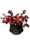 Artificial Chamomile Flower Branches, 1 Stems 25cm Silk Daisy Flowers with Vase for Home Decor