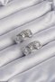 Brass Silver Color Zircon Stone Milky Way Earrings Bezoss - 2