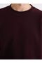 Lcw Vision Brown Crew Neck Thick Fabric Men's Sweatshirt - 3