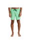 Surfsilk Solid Volley 16 Eqyjv04118-Ggj9 Green Shorts