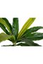 Feriga artificiala Asplenium osaka S verde - 6