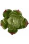 Planta artificiala suculenta model88 - 4