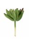 Planta artificiala suculenta model24 - 5