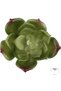 Planta artificiala suculenta model88