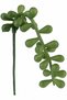 Planta artificiala suculenta model33 - 3
