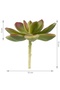 Planta artificiala suculenta model76 - 2