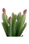Planta artificiala suculenta model50 - 6