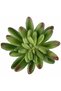 Planta artificiala suculenta model24 - 4