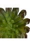 Planta artificiala suculenta model71 - 6