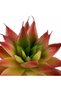 Planta artificiala suculenta model44 - 6