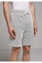 Regular Fit Mid Waist Striped Men's Gray Shorts - 4