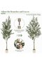 152/182/212/242cm (5/6/7/8FT) Artificial Olive Tree, Lifelike Faux Potted Plant for Home Office Decor - 3