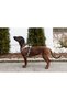 Y Type Sport Dog Chest Harness 15 mm (30-50 / 50-60 cm) - Fitty Series - S - 8