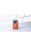 Majdoul Premium Dates 500gm