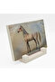 سطح طاولة حجري مطبوع عليه رسم حصان 10x15 5G-At1