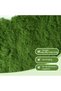 100g Artificial Moss for Plants Indoor, Fake Moss for Arts and Crafts, Faux Grass for Potted Fairy Garden DIY Model Making Walls Glass Containers Home Decor Dark Green (3.5oz) - 2