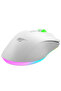 Gamenote MS1040 RGB Gaming Oyuncu Mouse - 8000 DPI, 8 Tuşlu Programlanabilir - 5
