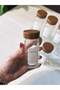 6-Piece Acacia Lid Glass Spice Jar Set - 3