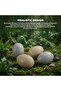 Dinosaur Egg Toy Set | Smash & Rebuild Dino STEM Surprise Toy for Kids - 5