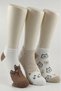 Women's Cotton Booties Socks Colorful 3-Piece Pack - 2