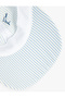 Dolphin Embroidered Detailed Striped Cap Hat - 5
