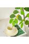 Artificial Lemon Tree 120/160cm, Lifelike Faux Lemon Plant with Realistic Fruits for Home Decor - 6