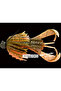 Hyper Spider Electric Shrimp 445 8.1cm - 3