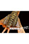Hyper Spider Electric Shrimp 445 8.1cm - 5