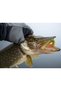 Shad Swing Impact Slim Junebug 408 5cm - 2
