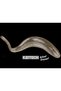 Shad Impact Cola 006 5cm - 5