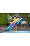 Dolphin Daydream Ride-On Float - 2